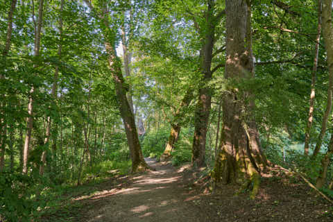 Gemeinde Altötting Landkreis Altötting Gries Mörnbach Natur-Erlebnispfad (Dirschl Johann) Deutschland AÖ